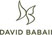 David Babaii Curling Irons