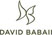 David Babaii Curling Irons David Babaii Curling Irons